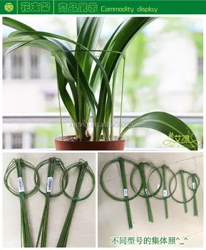 Circular Plant Support For Climbing Plants Adjule Circular Plant Support For Climbing Plants