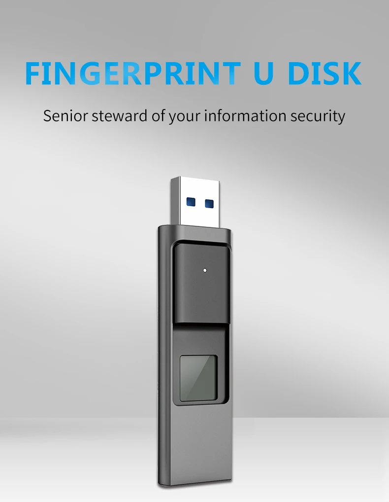 Hot sale Privacy protection fingerprint USB fingerptint U disk 32gb flash drive usb 3.0 for office - ANKUX.COM