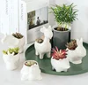 Factory Price Cute Animal Planter Ceramic Grass Succulents Flower Pots