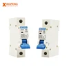 Thermal 1pole 40amp mcb egypt market circuit breaker 50a overload current protector