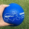 Custom playground sports dodge ball