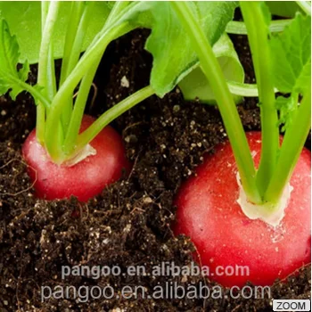 Agri-01 Lime For Clay Soil - Buy Soil Conditioner,Soil Amendments,Soil