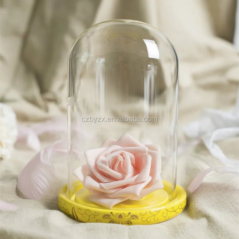 glass dome (15).jpg