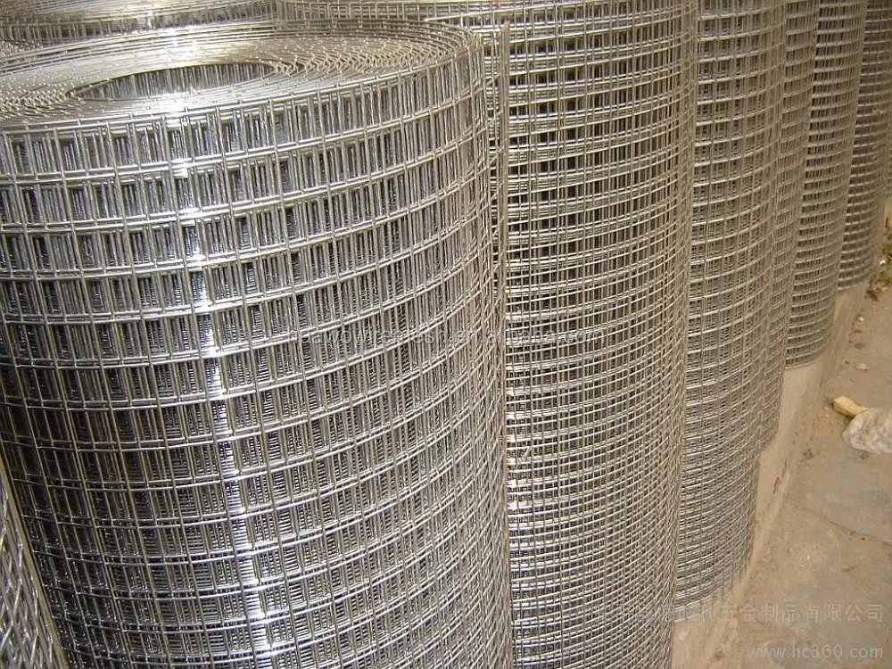 2*4 Bird Cage Welded Wire Mesh Roll Buy 2*4 Welded Wire Mesh,Welded Wire Mesh Roll,Bird Cage