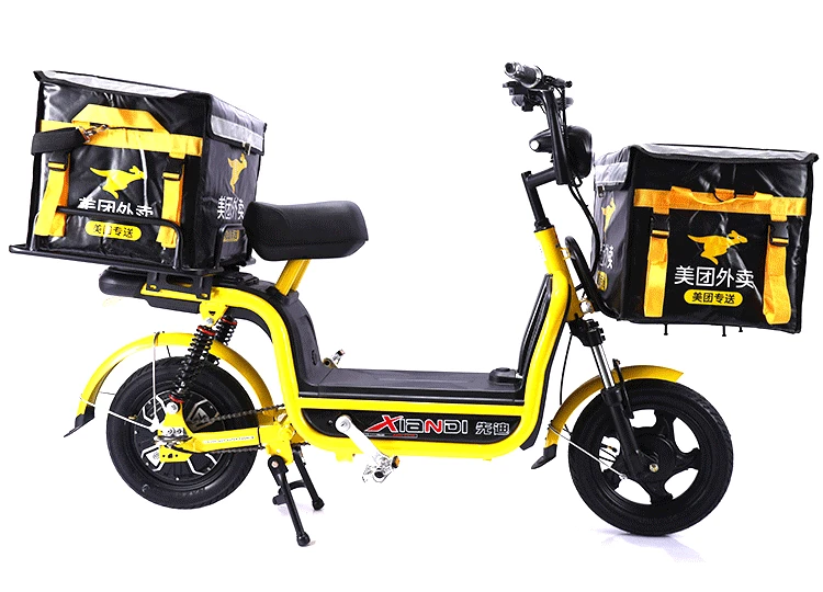 electric cycle with carrier