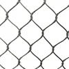 Zoo animal fence/stainless steel rope mesh/stainless steel cable netting