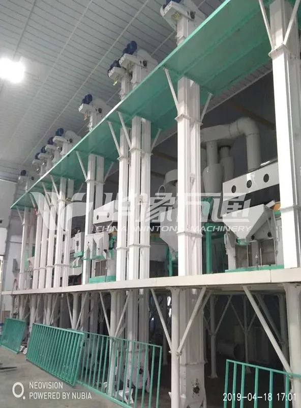 Pulses Cleaning Line 1_.jpg