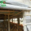 Mushroom greenhouse film, plastic covering film for mushroom growing house,chicken use greenhouse film