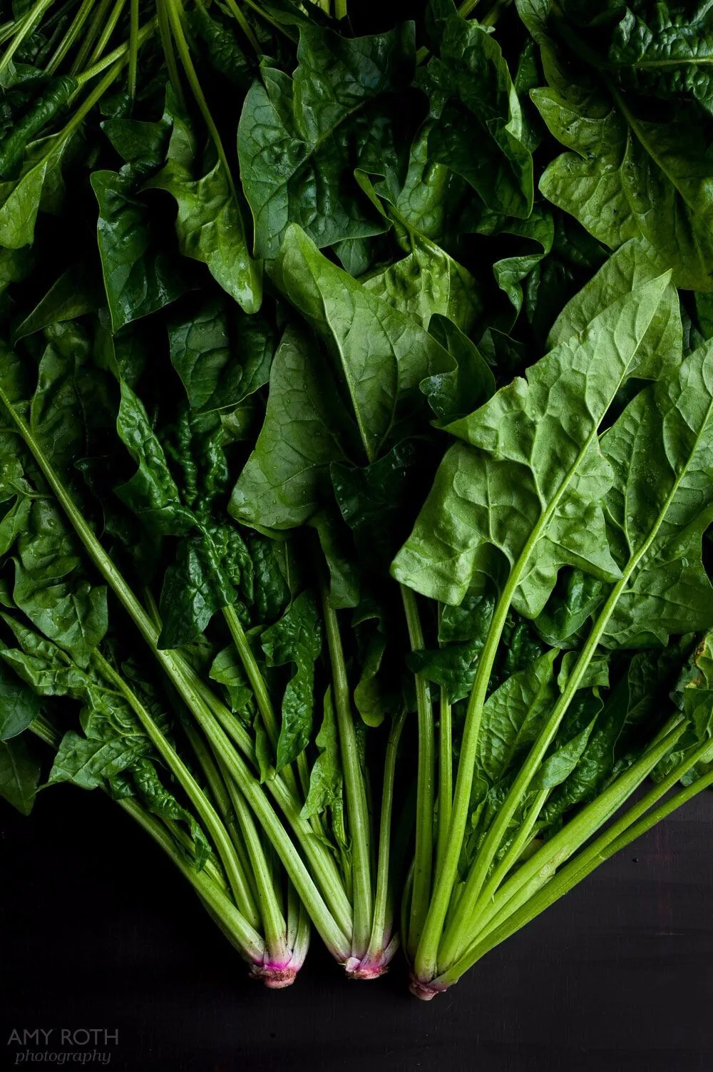 Red Spinach Extract,Red Spinach Extract Powder,Red Spinach Powder Buy