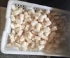 All Year Supply Frozen Equator Squid Flower