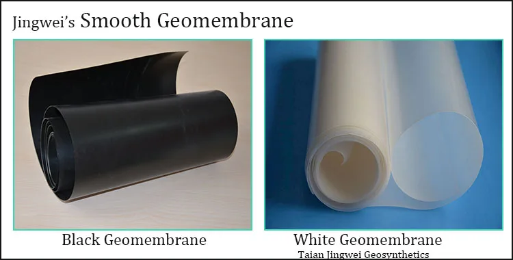 black-white membrane1