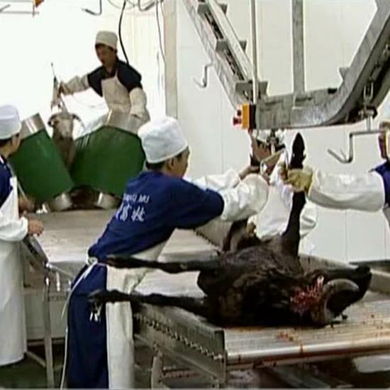 Kosher beef and mutton cutting machine butcher slaughterhouse