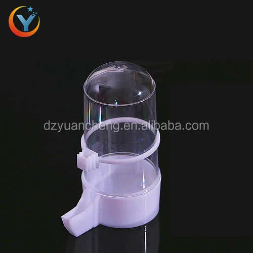pigeon water bottle price