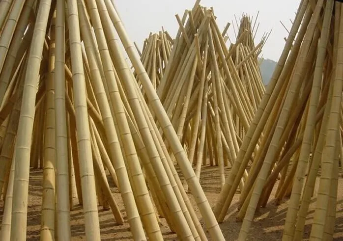 Bamboo Poles Lowes - Buy Bamboo Poles Lowes,Raw Bamboo Poles,Artificial