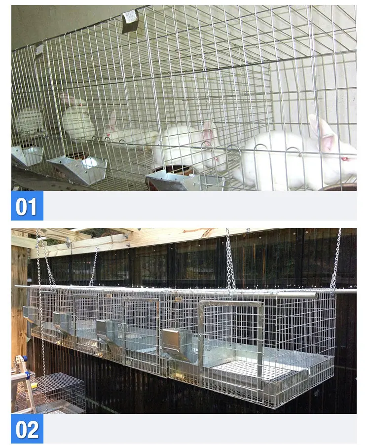 Hot Sale Factory Supply 3 Tiers 12 Commerical Rabbit Cages Buy Commerical Rabbit Cages,12