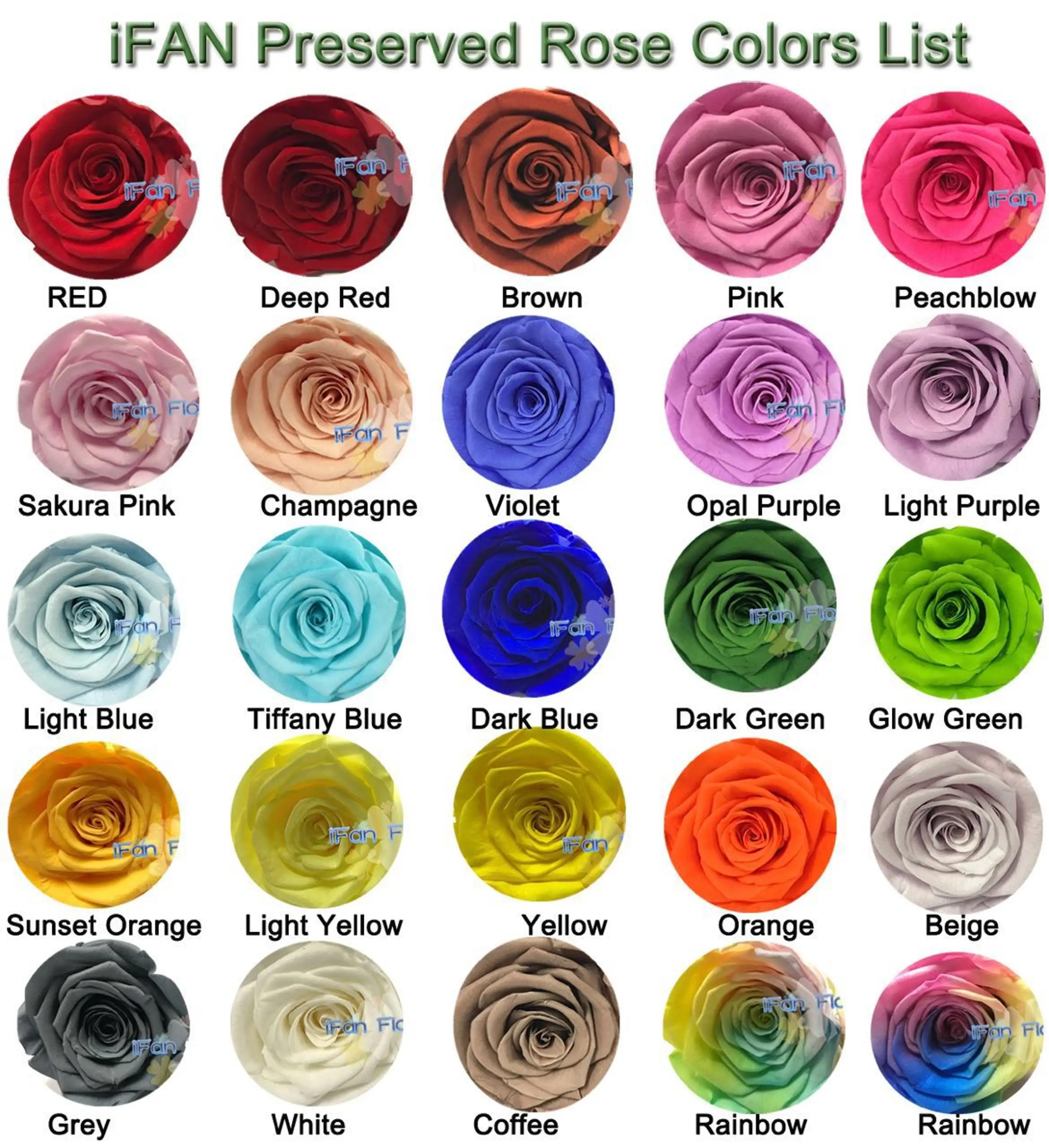 Fresh Pink Rose Flower Preserved Roses 20 Colors Available ...