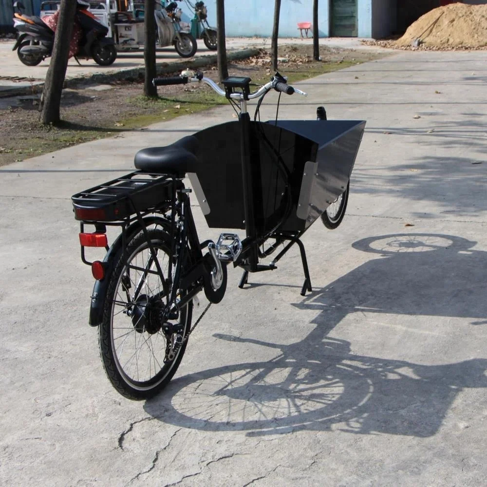 carbon cargo bike