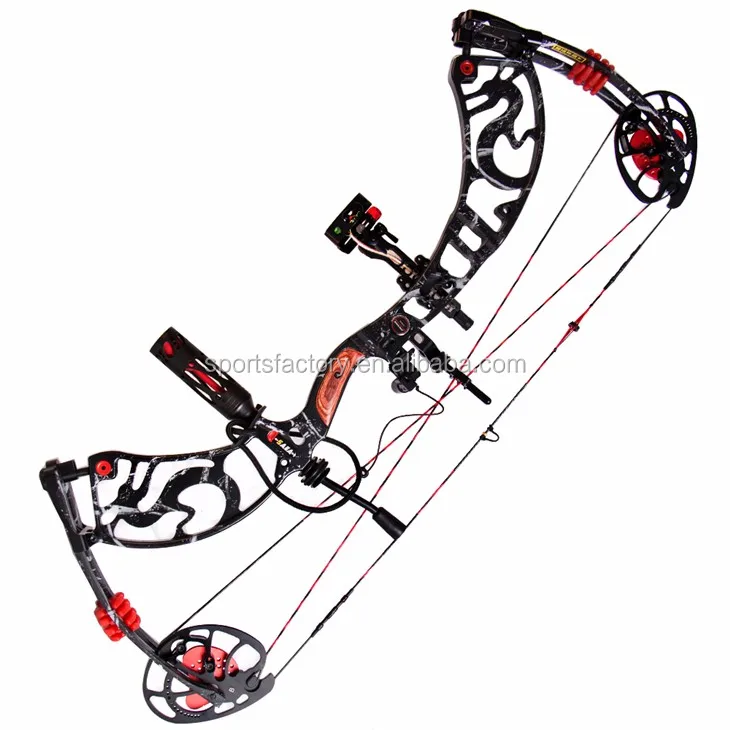 Whole Set Compound Bow 4060lbs Let Off 80 Archery Pro Bow Hunting