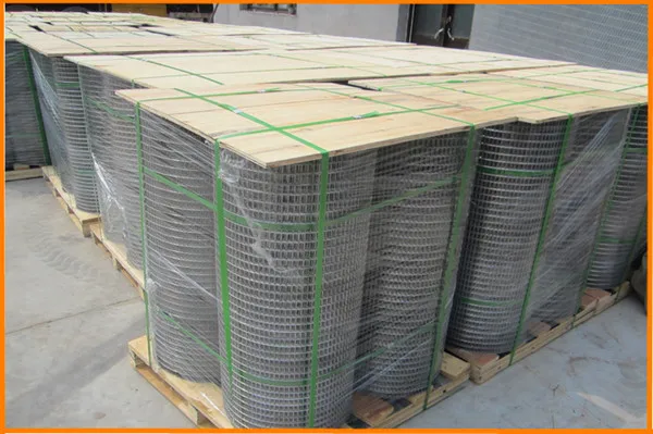 Cheap galvanized and PVC coated welded metal building wire mesh 19 gauge galvanized welded wire mesh