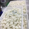 Best Quality Quality Frozen Illex Equator Squid chunk