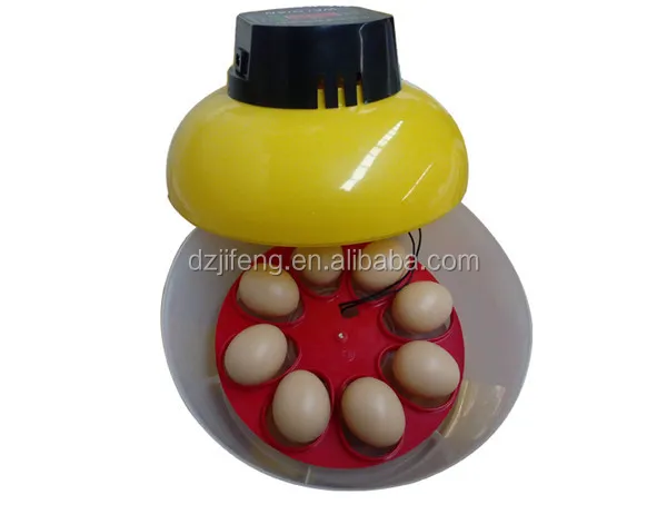 best incubator for parrot eggs