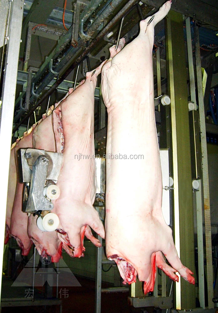 Automatic Pig Carcass Splitting Half Band Saw Machine Pig Slaughtering Cutting Machine For
