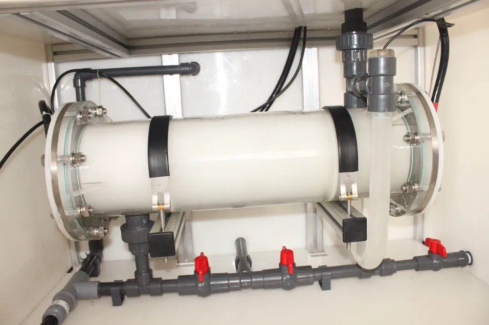 Salt Water Electrolysis 50g/h Chlorine Gas Online Generator Buy Salt