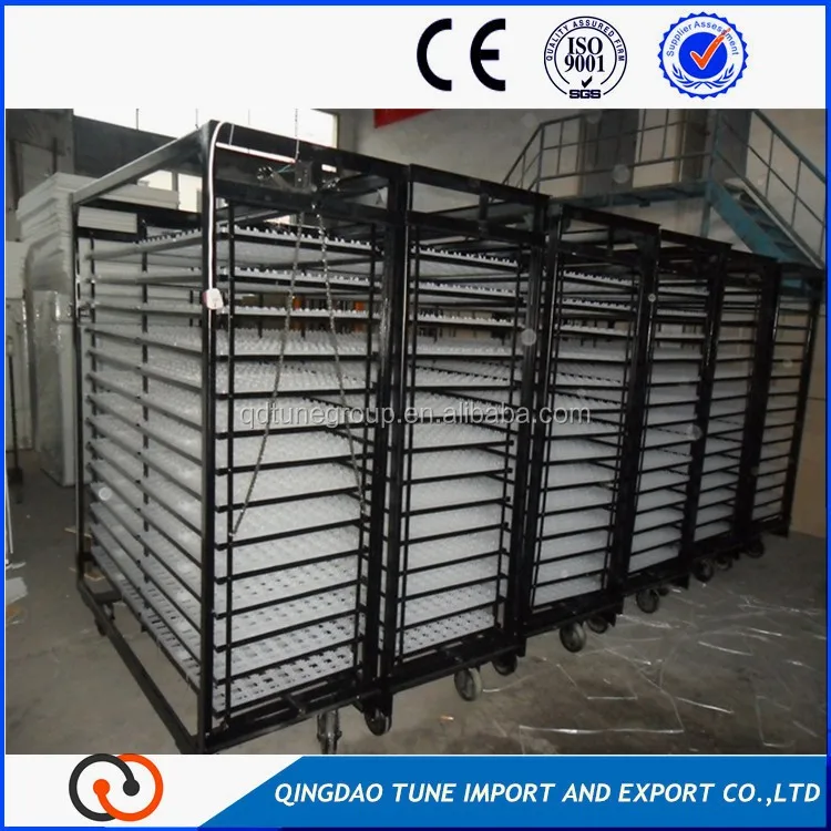 Egg incubator trays car.jpg