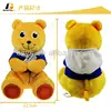 Plush remote controlled plush teddy bear toys,built in speaker,stuffed plush bear