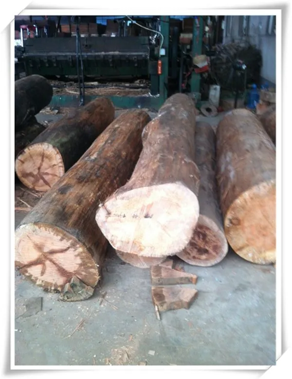 lowest price natural gurjan face veneer/keruing face veneer vietnam