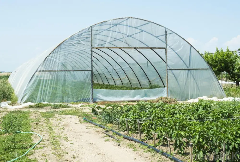 strong width non woven sun uv protective finish fabric