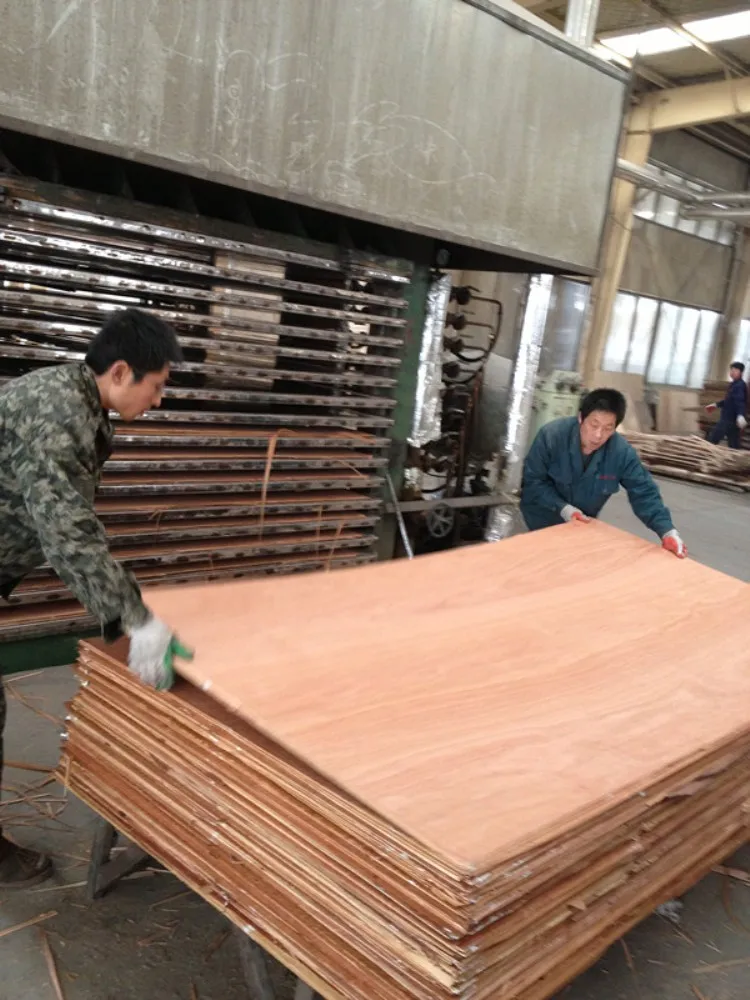 18mm Okoume Plywood 3/4 Thick Cheap Price Export To Philippines Buy