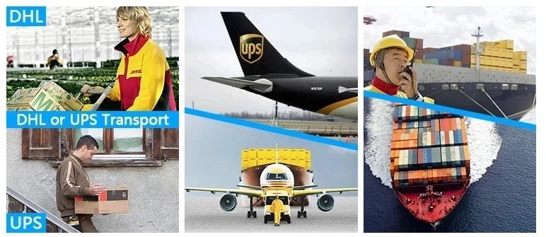 DHL.jpg