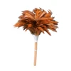 Mini Magic Cleaning Chicken Feather Duster