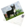 High quality good price Colorful PET 3D lenticular postcard