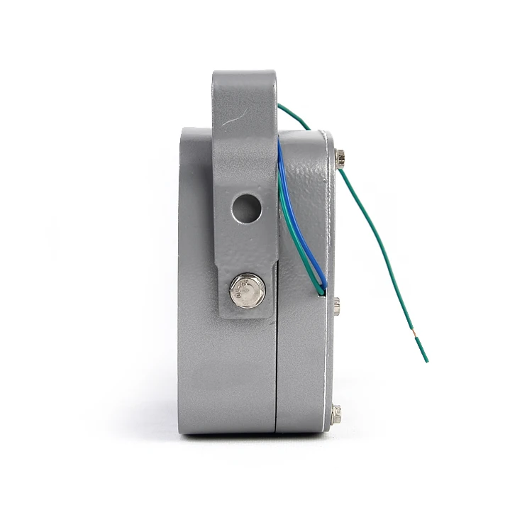 12V Car 100w (3).jpg