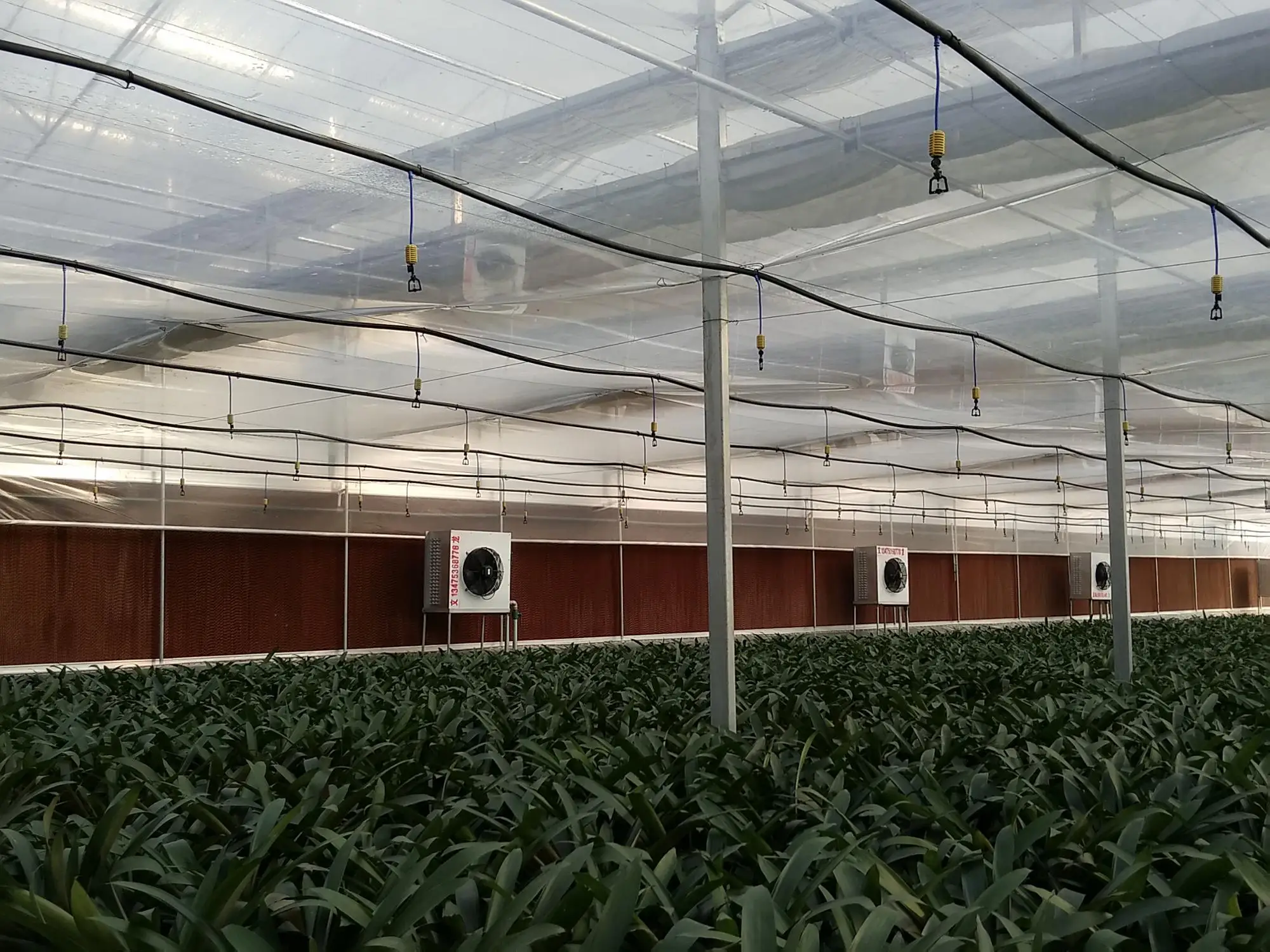 Greenhouse Evaporative Cooling Pad For Poultry House Buy Evaporative