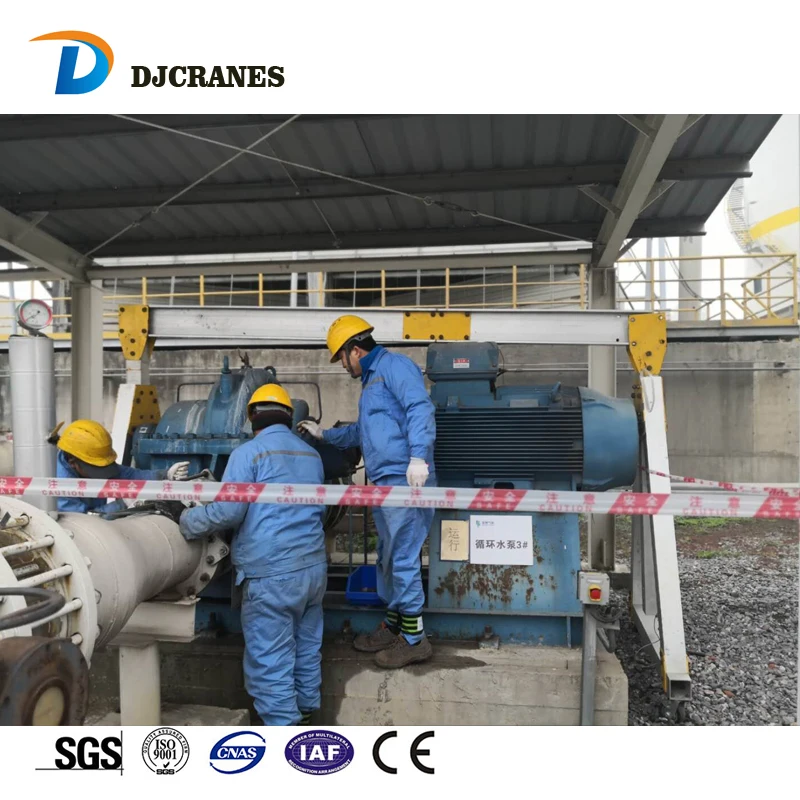 portable gantry crane (10)