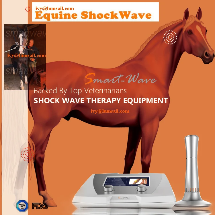 Veterinary Shock Wave Therapy Equipment Shock Wave Therapy Equipment
