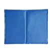 30*40 cm High Quality Waterproof Ice Pet Cooling Mat Dog Ice Pad