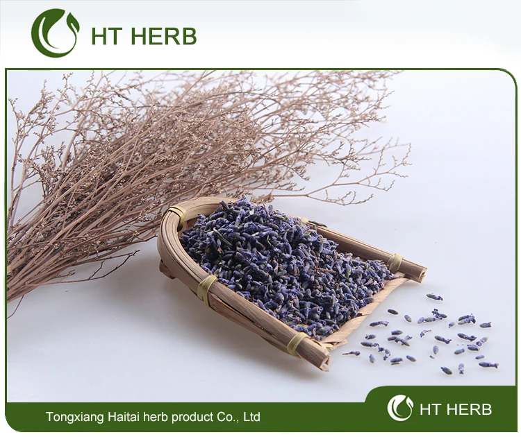 2019 new HERB Lavender bags Lavender Dried Tea - 4uTea | 4uTea.com