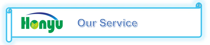 Our Service.png