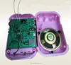 Buil-in rapid audio processor Programmable sound module for toys