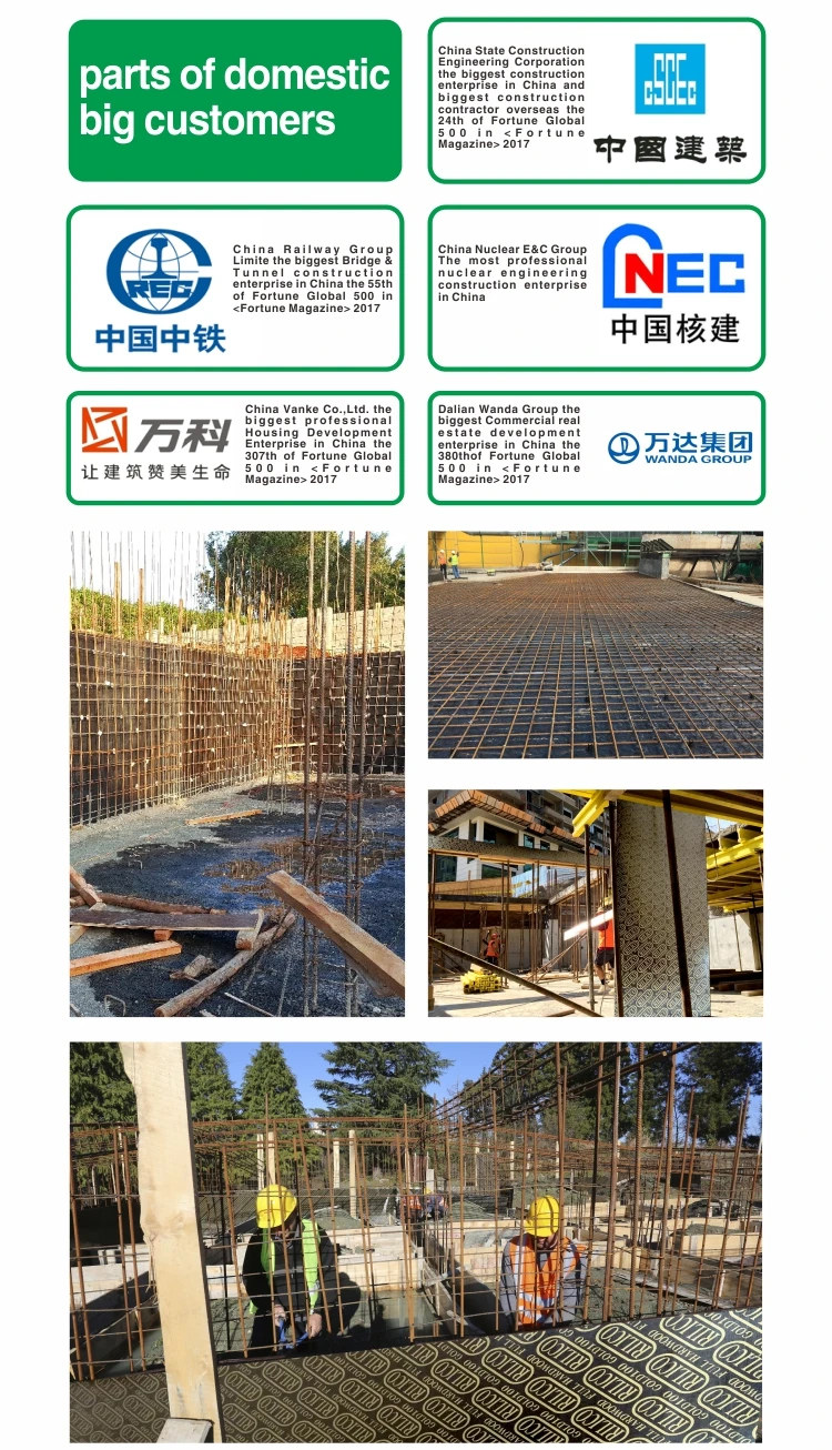 shuttering plywood price