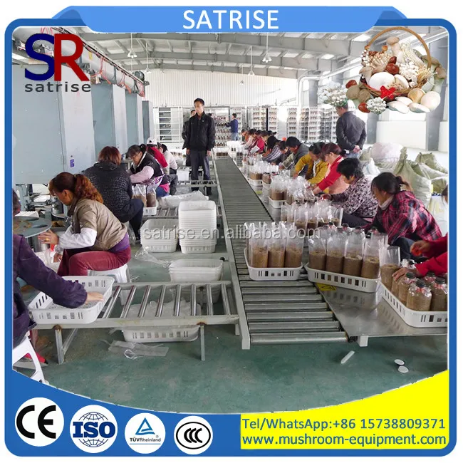 Top quality needle mushroom machine oyster mushroom growing bag filling machine