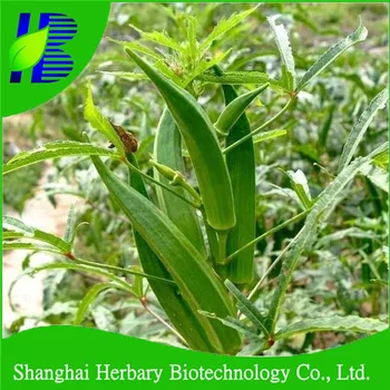 2018 High Quality Vegetable Seeds Lady Finger Seed For 2018 High Quality Vegetable Seeds Lady Finger Seed For