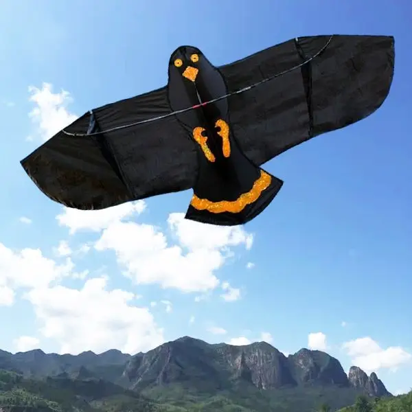 Chinese kites