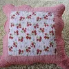 Cotton Sofa Waist Red Strawberry Custom Printed Pillow Cases