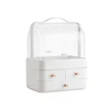 Multifunctional Dust Proof High-capacity Delicate Environmentally Friendly Plastic Cosmetics Organizer Storage