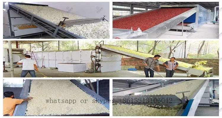 tea leaf dryer machine